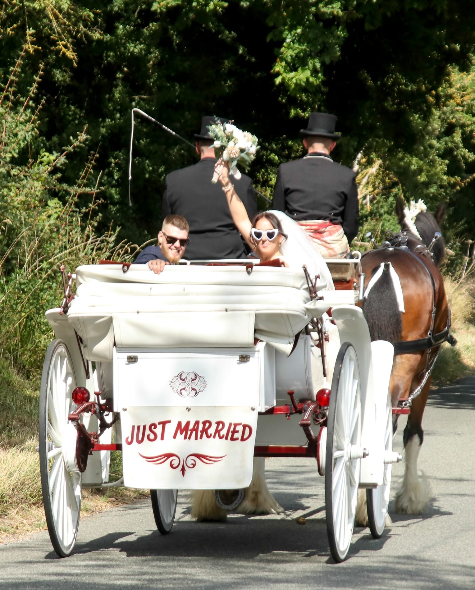 Horse-drawn wedding transport